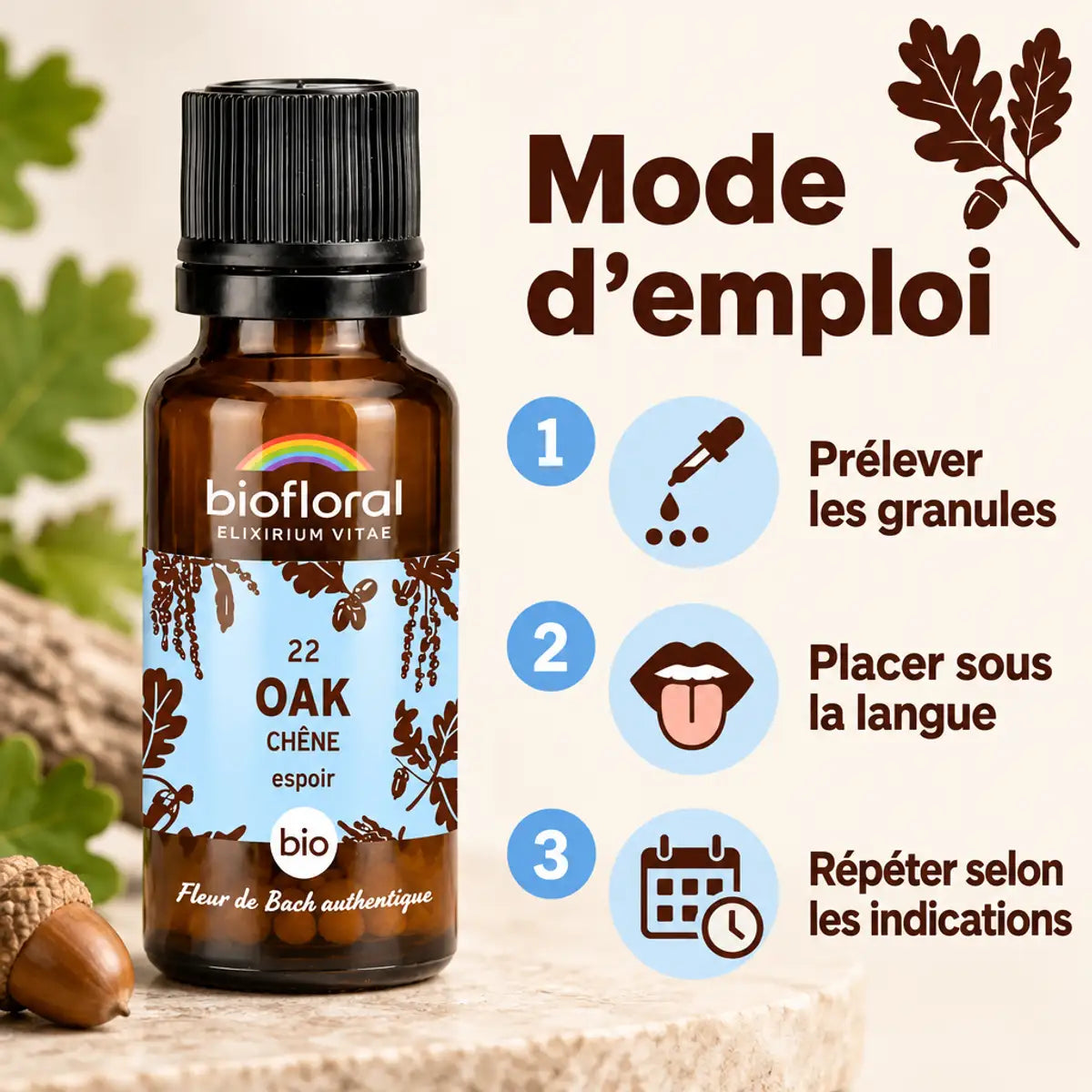 Fleur de Bach Chêne Bio en granules Biofloral 19,5 g, flacon et mode d'emploi en 3 étapes