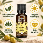 Flacon de Fleur de Bach Olive Biofloral bio en granules 19,5 g, entouré de feuilles d'olivier et de bienfaits : récupération, énergie, sérénité.