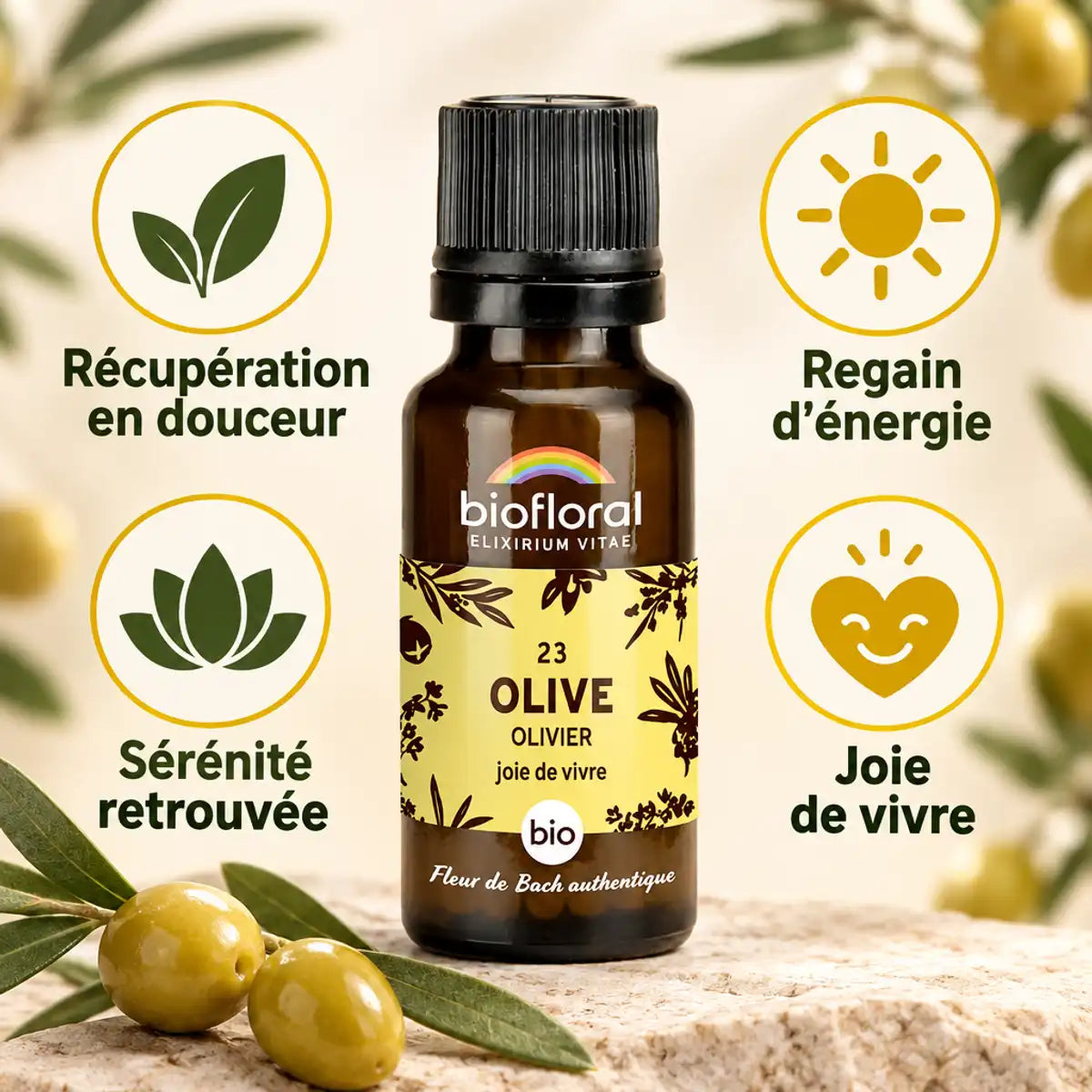 Flacon de Fleur de Bach Olive Biofloral bio en granules 19,5 g, entouré de feuilles d'olivier et de bienfaits : récupération, énergie, sérénité.