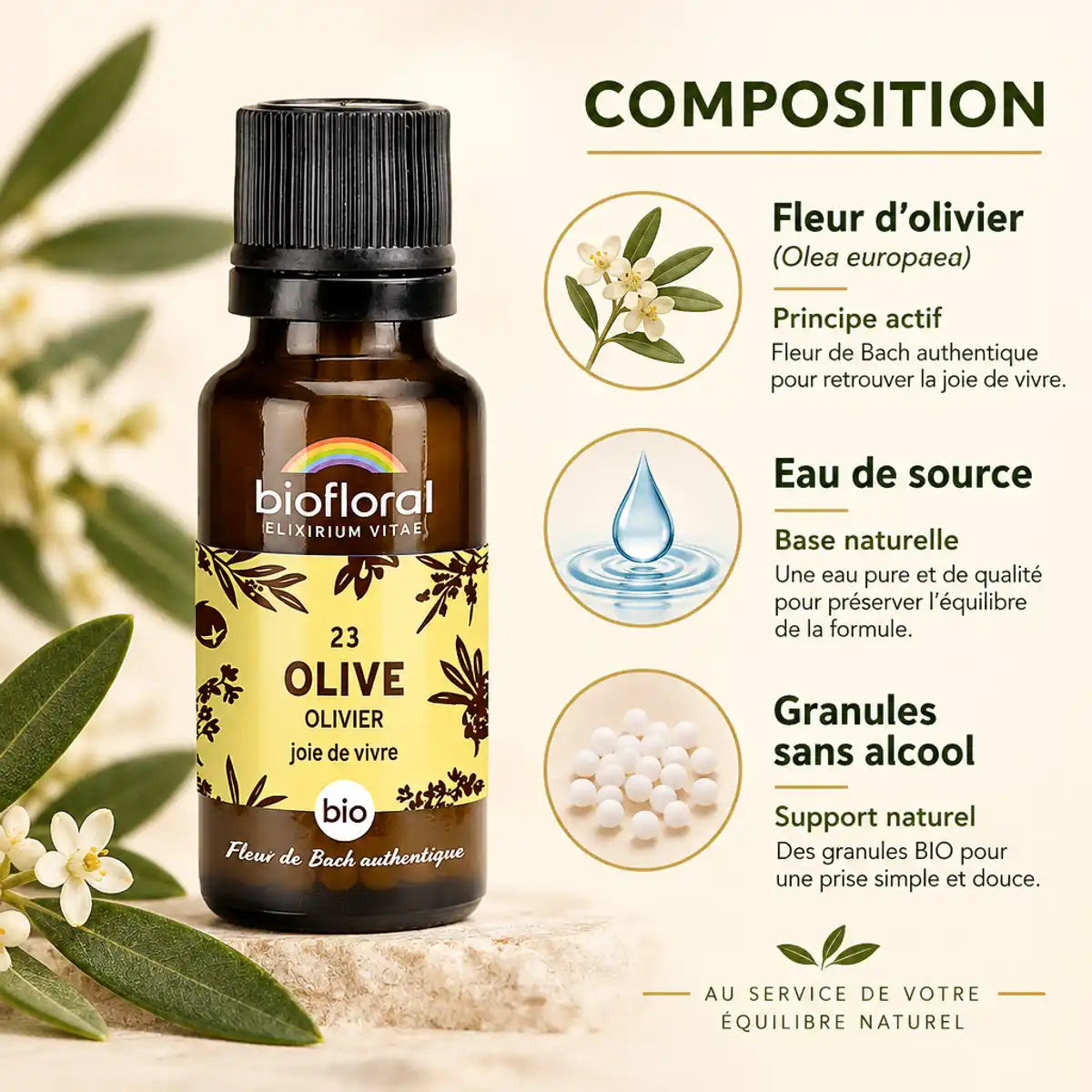 Flacon Fleur de Bach Olive Biofloral en granules bio à côté d'une infographie sur sa composition : fleur d'olivier, eau de source