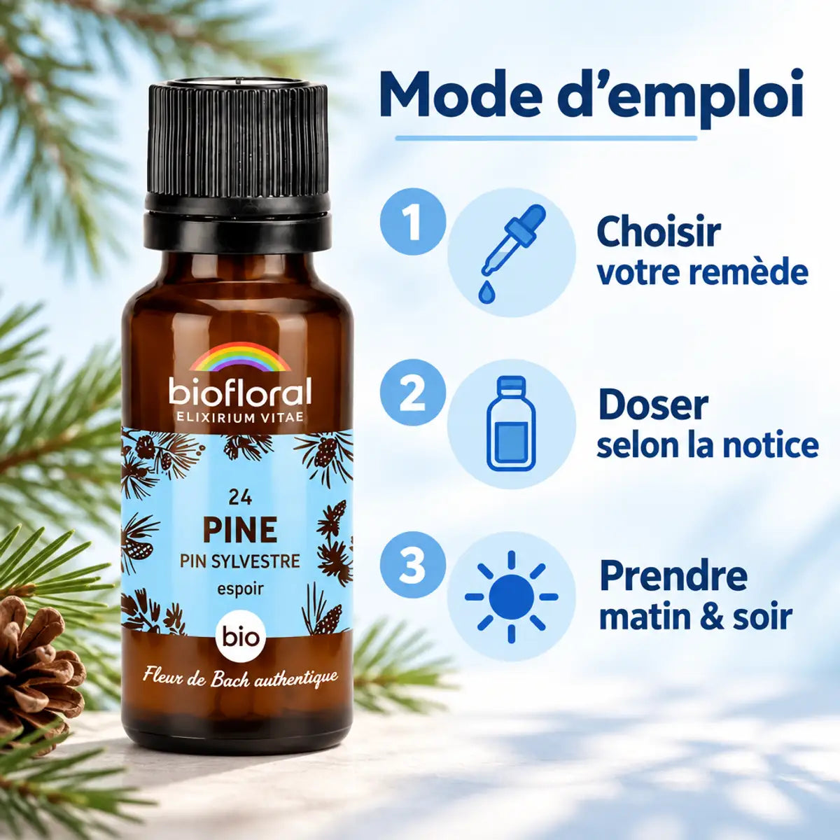 Fleur de Bach Pin Sylvestre Biofloral en granules : flacon, étiquette et mode d'emploi en 3 étapes
