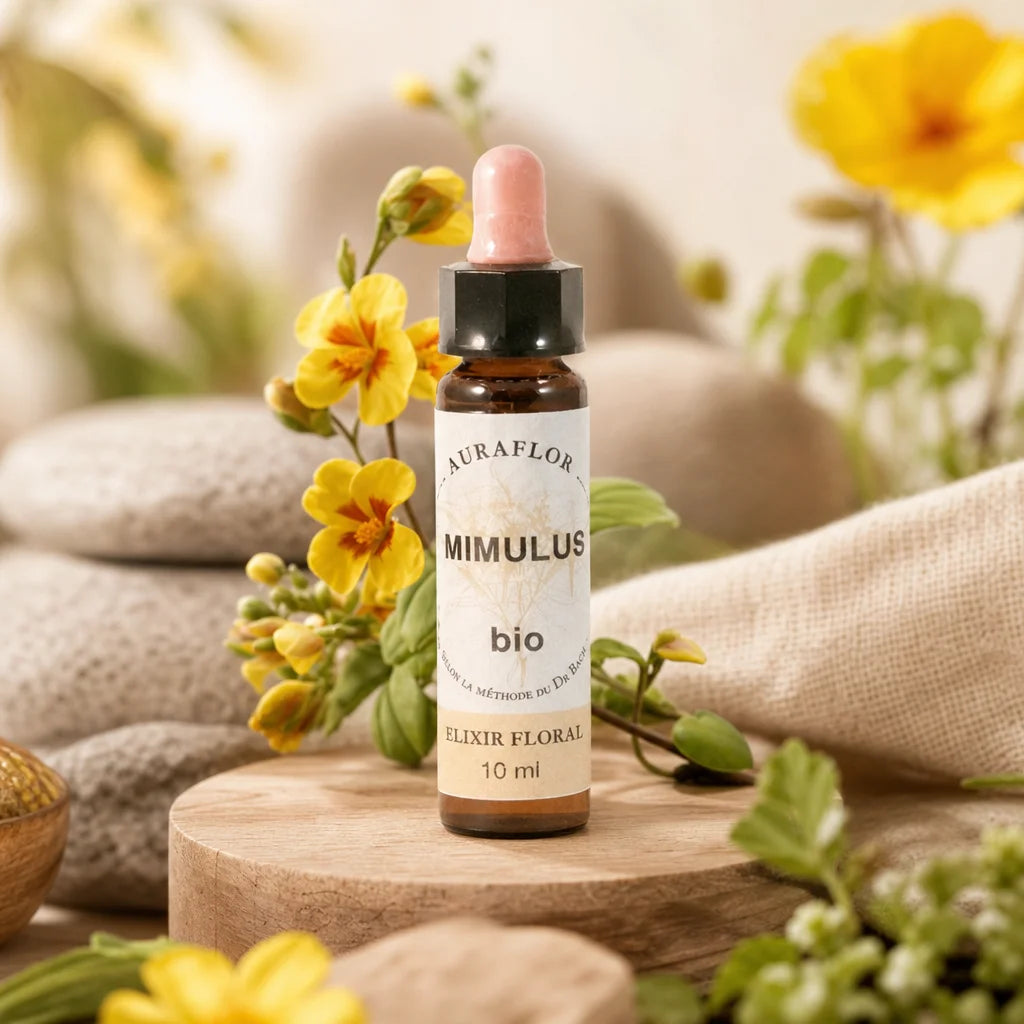Fleurs de Bach Bio Mimule en compte-gouttes Auraflor avec fleurs jaunes et éléments botaniques