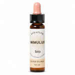 Fleur de Bach Mimule bio en compte-gouttes Auraflor 10ml fond blanc