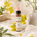 Fleurs de Bach Bio Moutarde en compte-gouttes, flacon avec pipette rose sur fond botanique