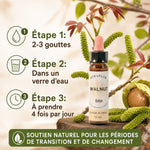 Fleurs de Bach Bio Noyer en compte-goutte avec instructions d'utilisation et branches de noyer
