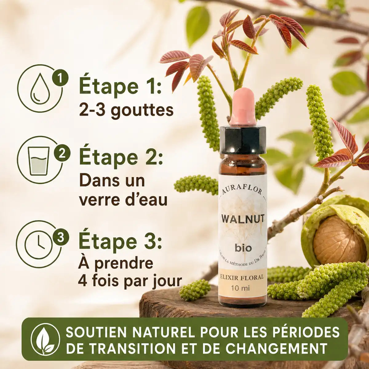Fleurs de Bach Bio Noyer en compte-goutte avec instructions d'utilisation et branches de noyer