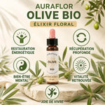 Fleurs de Bach Olivier bio en compte-gouttes avec bénéfices : restauration énergétique et bien-être mental