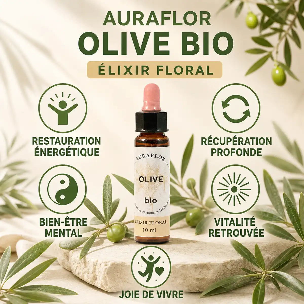 Fleurs de Bach Olivier bio en compte-gouttes avec bénéfices : restauration énergétique et bien-être mental
