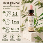 Fleur de Bach Olivier bio en compte-gouttes, mode d'emploi et dosage 2-3 gouttes 3 fois par jour