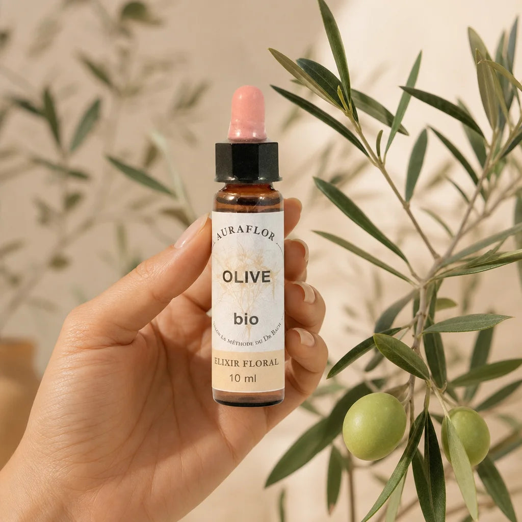 Fleurs de Bach Olivier bio en compte-gouttes, main tenant le flacon avec branche d'olivier naturelle