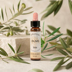 Fleur de Bach Bio Olivier en compte-gouttes Auraflor avec branches olives fraîches