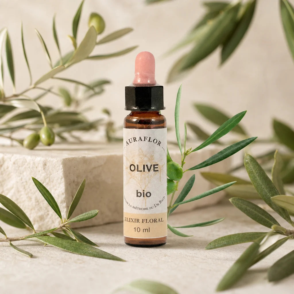 Fleur de Bach Bio Olivier en compte-gouttes Auraflor avec branches olives fraîches