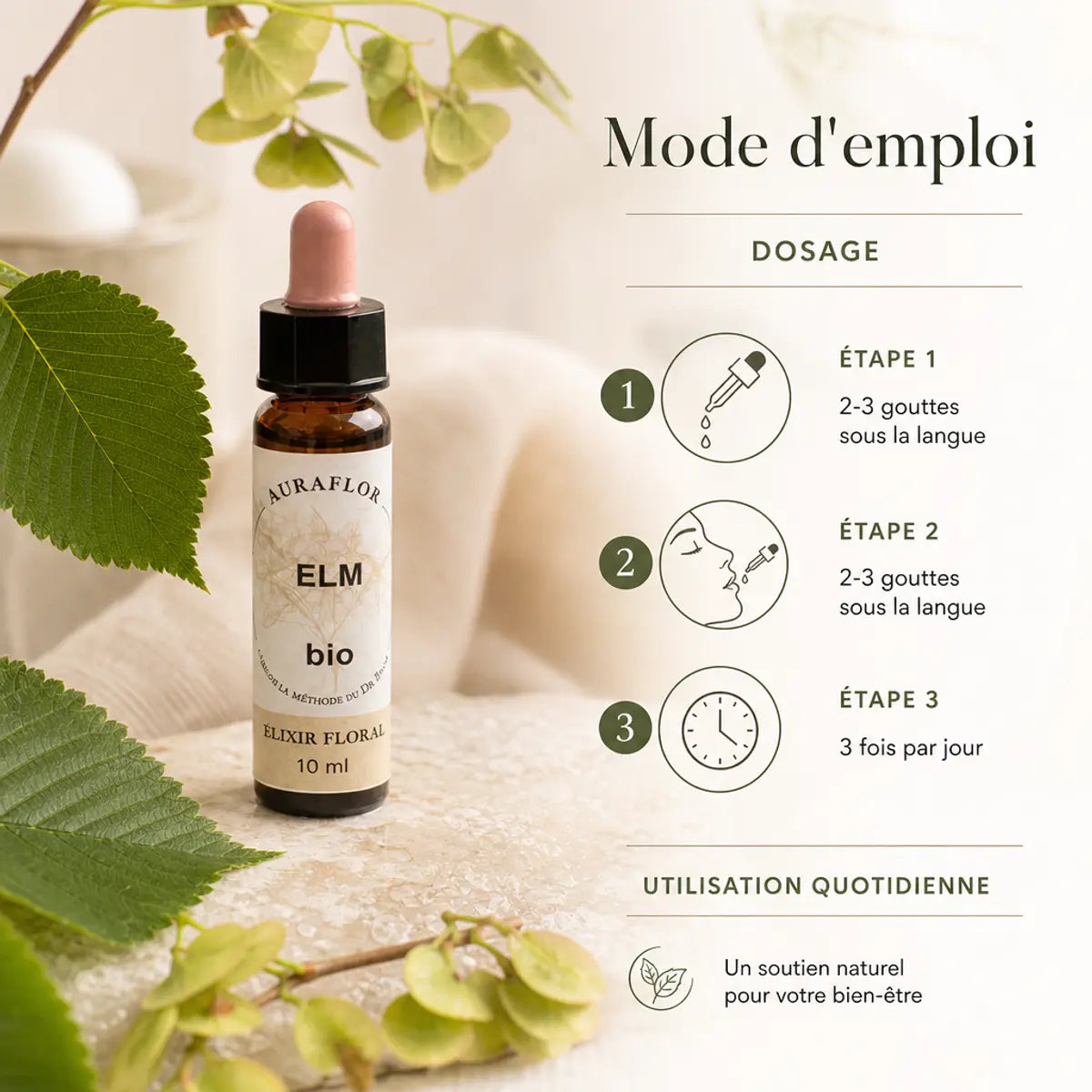 Fleurs de Bach Bio Orme en compte-gouttes avec mode d'emploi et dosage 2-3 gouttes sous la langue