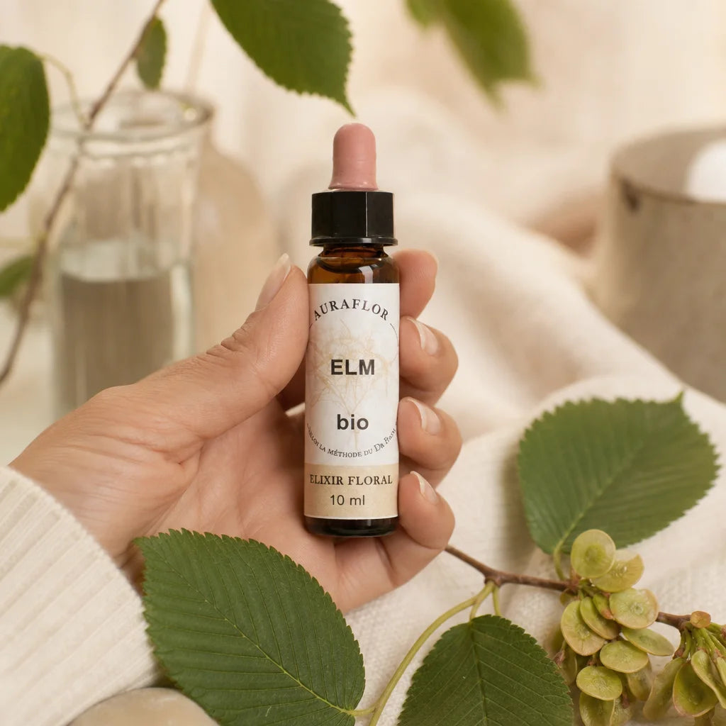 Fleur de Bach Orme bio en compte-gouttes avec feuilles d'orme, bien-être et sérénité