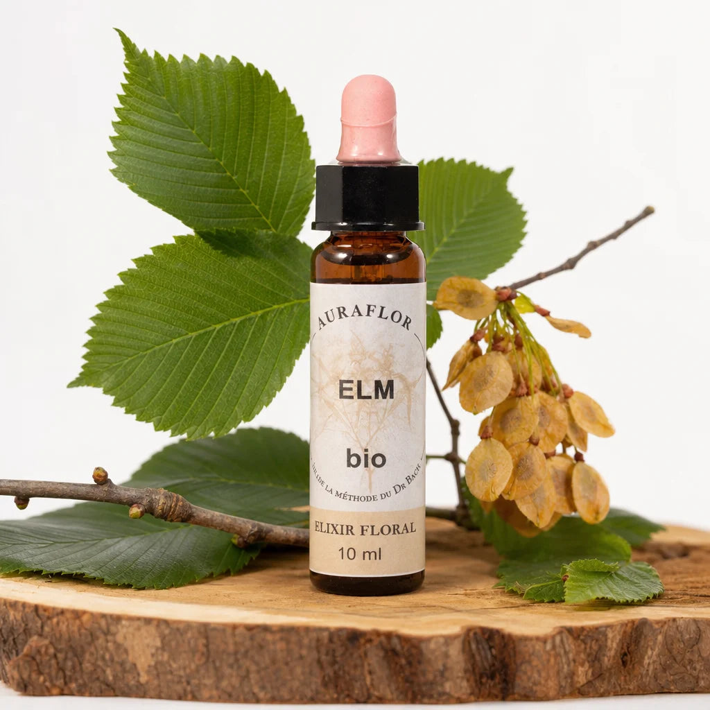 Fleur de Bach Bio Orme en compte-gouttes 10ml avec feuilles d'orme et éléments botaniques