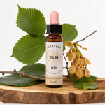 Fleur de Bach Bio Orme en compte-gouttes 10ml avec feuilles d'orme et éléments botaniques