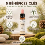 Fleur de Bach Pin Sylvestre bio en compte-gouttes avec bénéfices bien-être émotionnel et acceptation