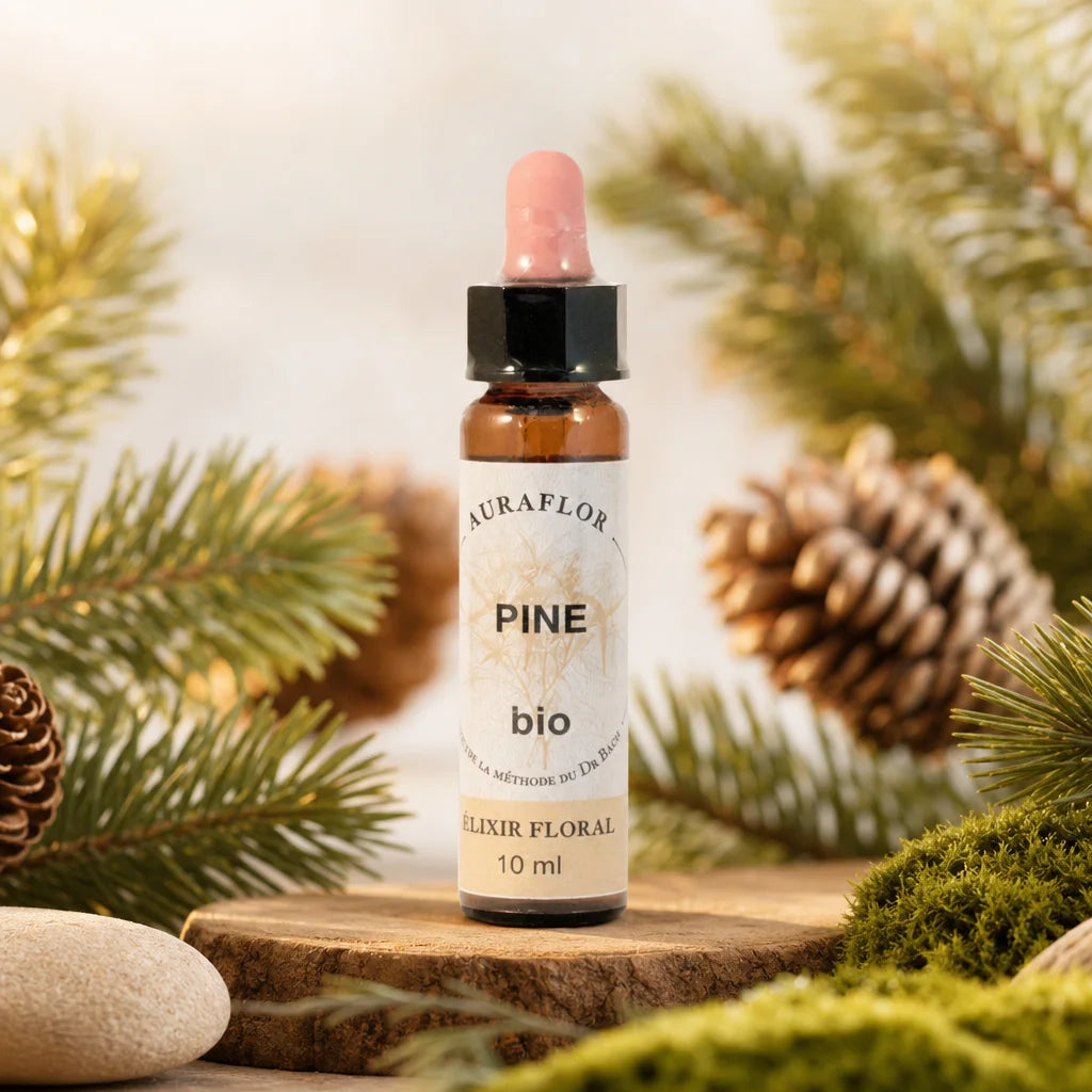 Fleur de Bach Bio Pin Sylvestre en compte-gouttes avec branches de pin frais en ambiance bien-être naturelle