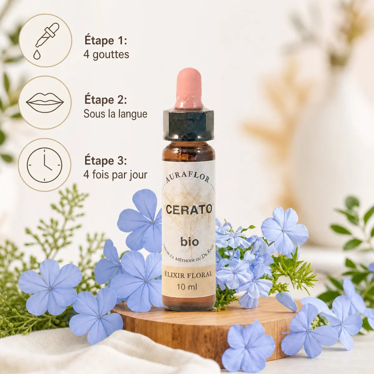 Fleurs de Bach Bio Plumbago en compte-gouttes avec guide d'utilisation illustré