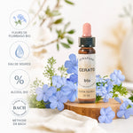 Fleurs de Bach Bio Plumbago en compte-gouttes avec fleurs bleues et ingrédients naturels