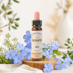 Fleurs de Bach Bio Plumbago en compte-gouttes avec fleurs bleues