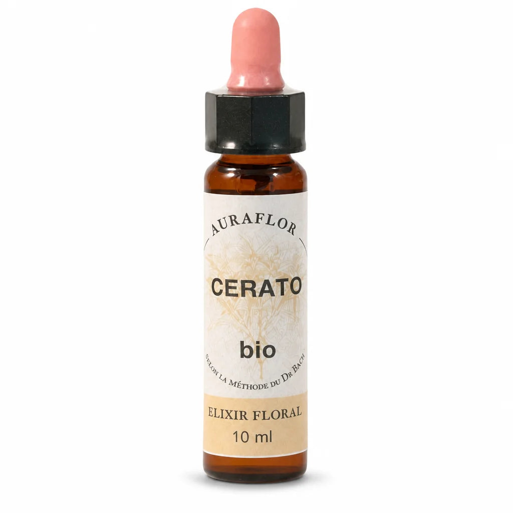 Fleur de Bach Bio Plumbago en flacon compte-gouttes 10ml Auraflor Cerato