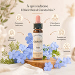 Fleurs de Bach Bio Plumbago en compte-gouttes avec infographie cibles indécision et confiance