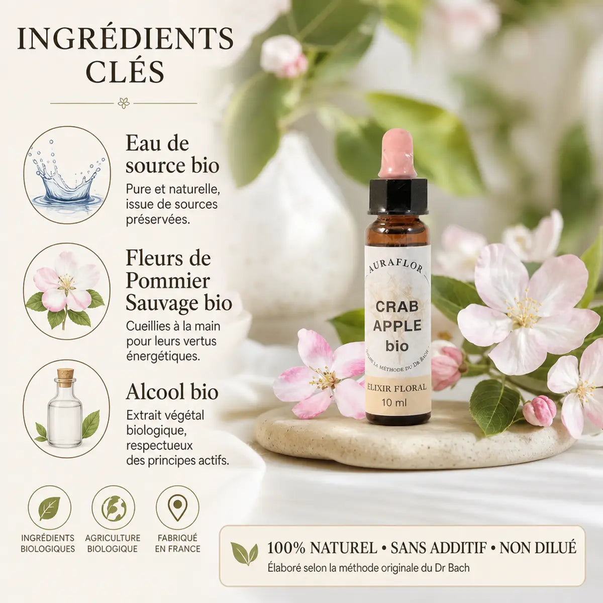 Fleurs de Bach Bio Pommier Sauvage en flacon compte-gouttes 10ml avec ingrédients bio
