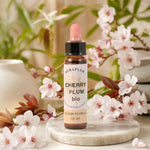 Fleur de Bach Prunus bio en compte-gouttes avec fleurs de cerisier roses et blanches
