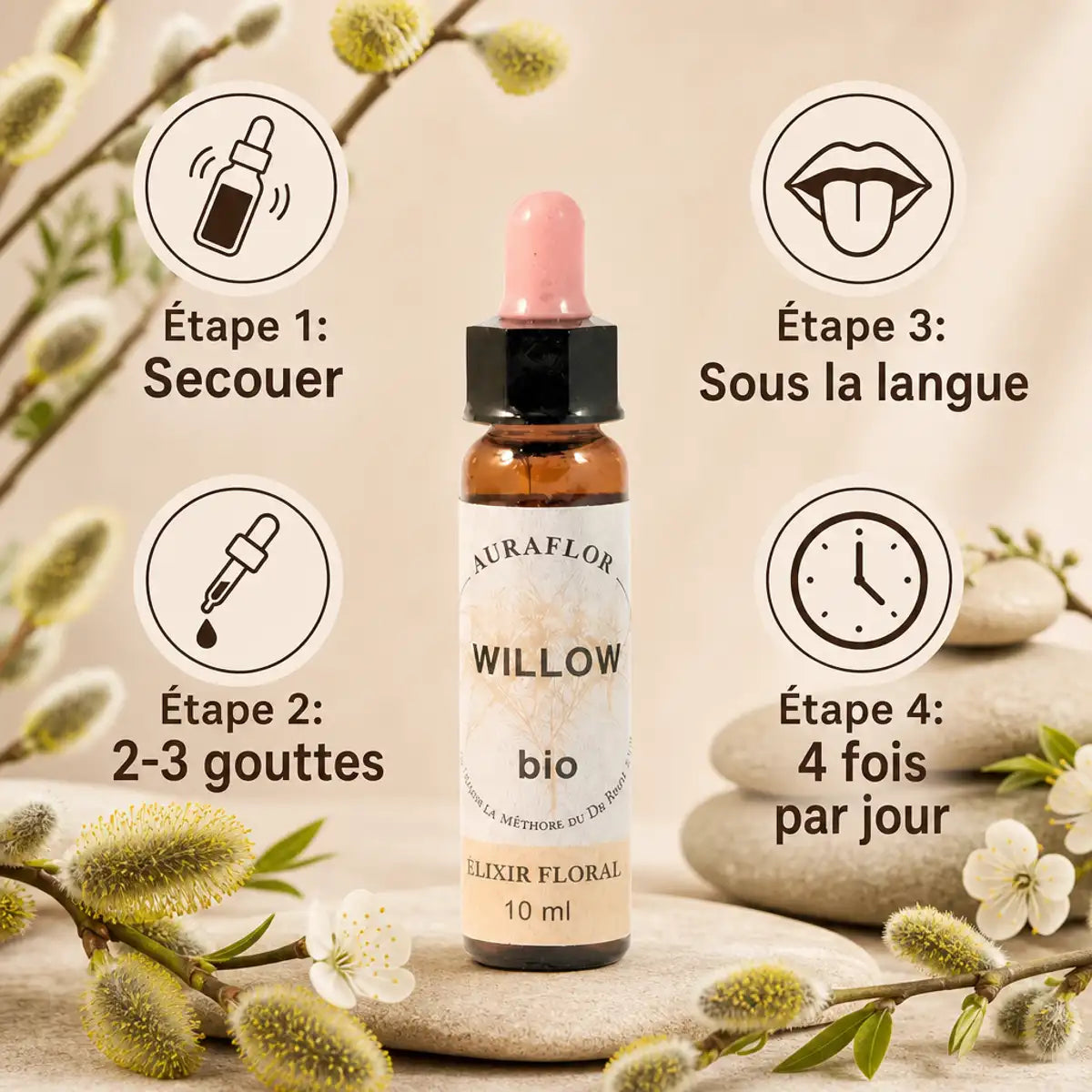 Fleurs de Bach Bio Saule en compte-gouttes avec guide posologique et dosage 2-3 gouttes
