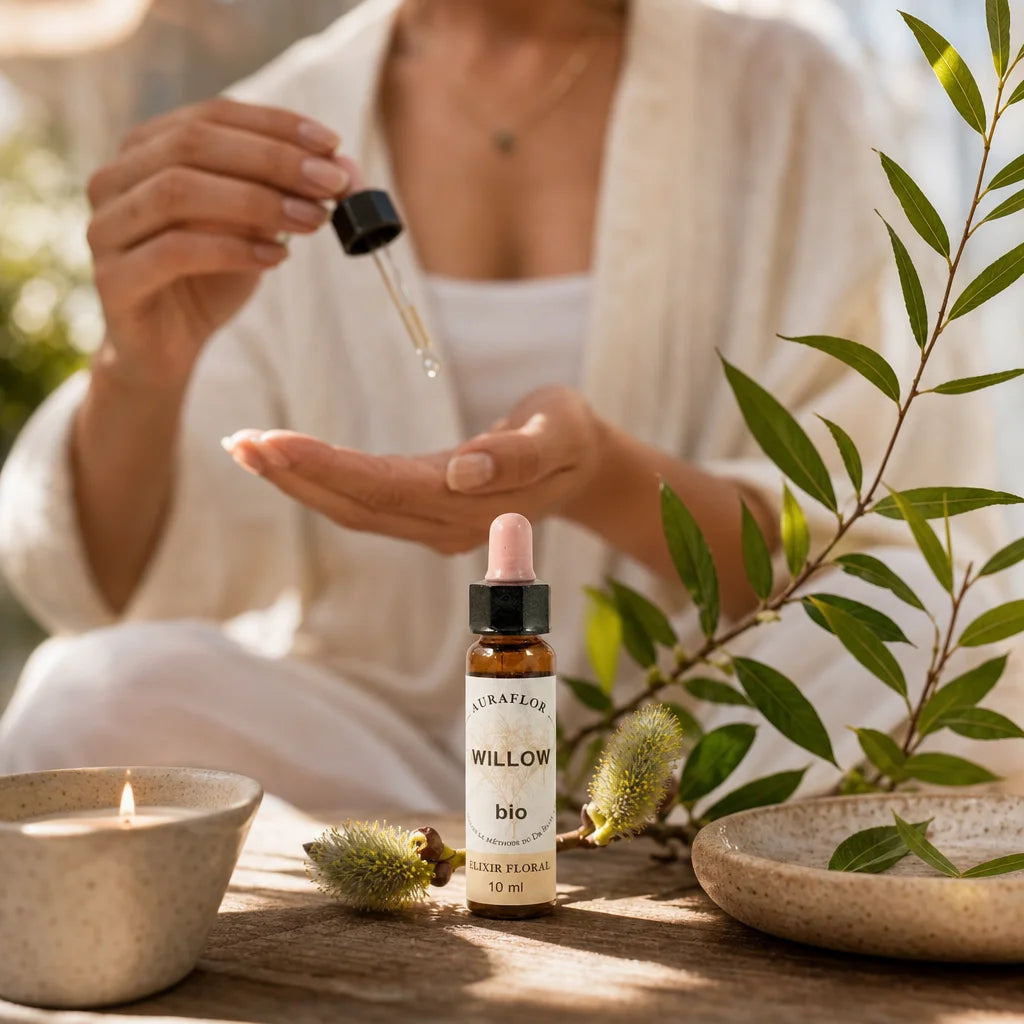 Fleurs de Bach Bio Saule en compte-gouttes avec application wellness et branches de saule naturelles