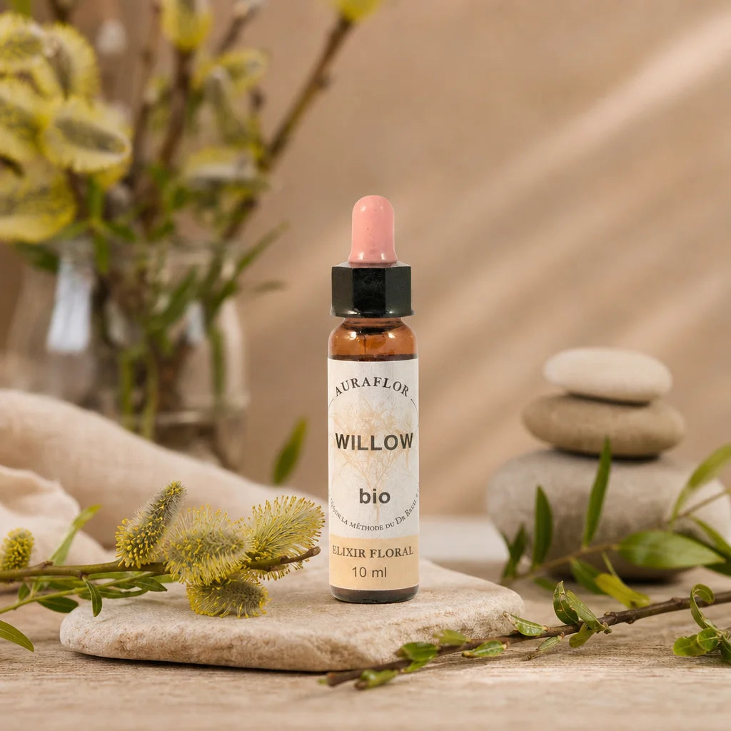 Fleur de Bach Saule bio Auraflor en compte-goutte avec branches de saule et éléments zen