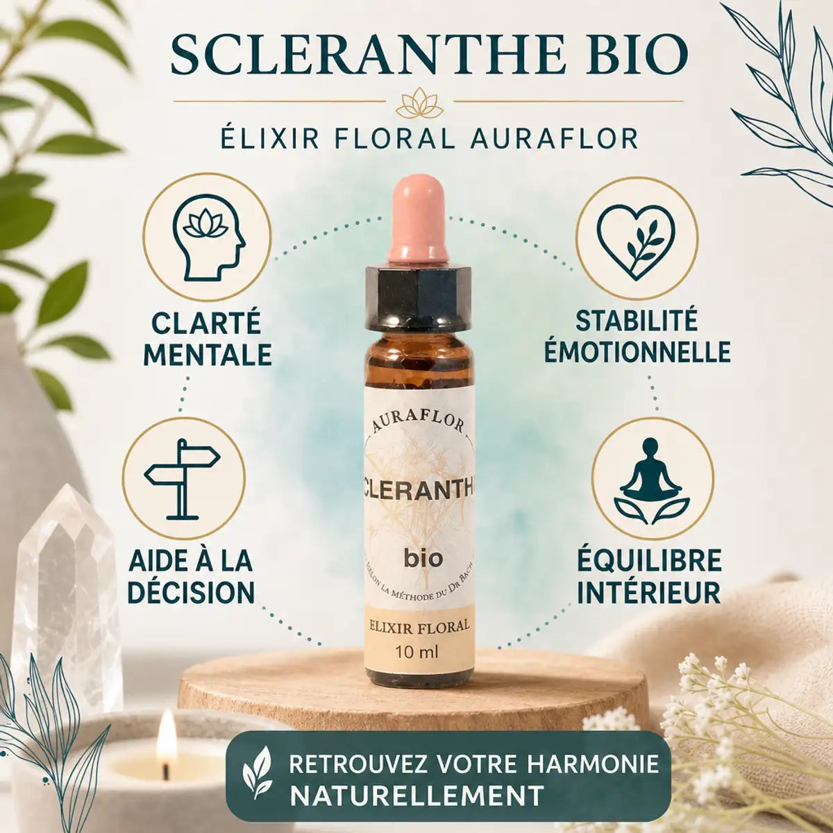 Fleurs de Bach Bio Scleranthe - Flacon compte-goutte avec bénéfices clarté mentale et stabilité émotionnelle