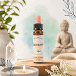 Flacon compte-goutte Fleurs de Bach Scleranthe bio 10ml sur fond zen apaisant