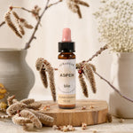 Fleur de Bach Tremble bio en compte-gouttes avec branches botaniques sur fond beige clair