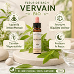 Fleurs de Bach Bio Verveine compte-goutte avec feuilles fraîches et bénéfices wellness