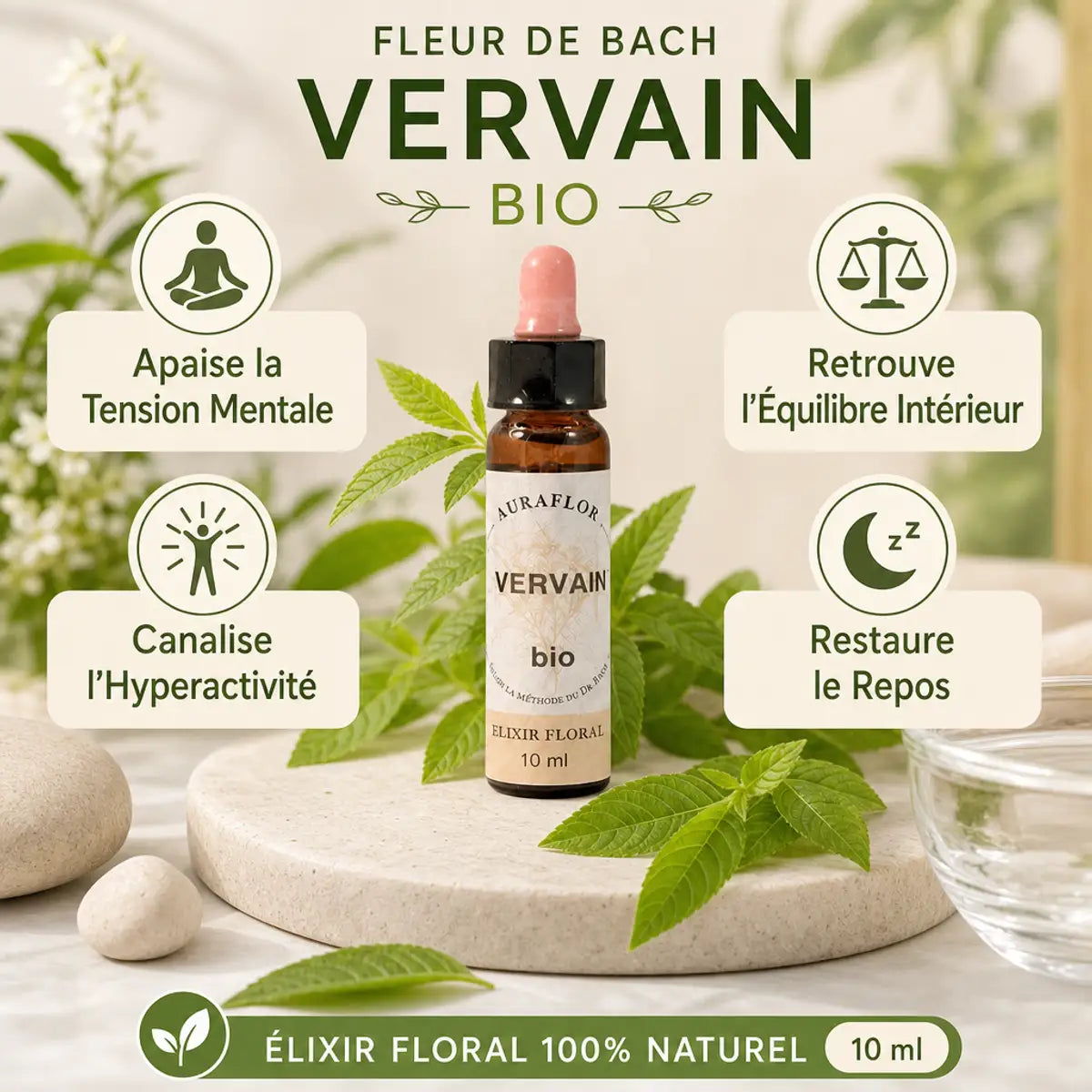 Fleurs de Bach Bio Verveine compte-goutte avec feuilles fraîches et bénéfices wellness