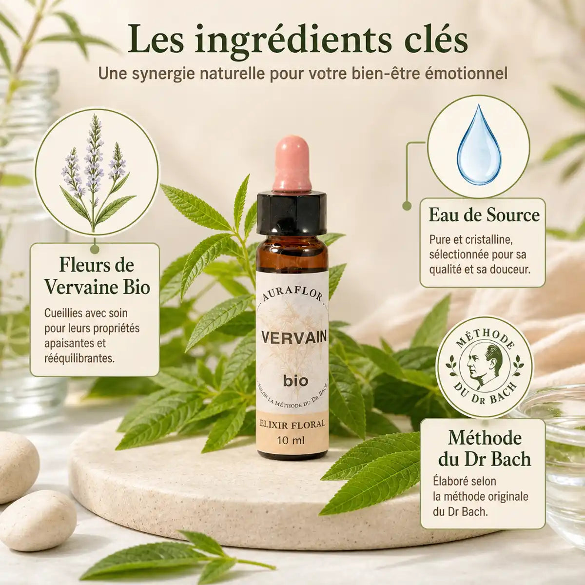 Fleurs de Bach Bio Verveine en compte-goutte, bouteille ambre avec feuilles fraîches
