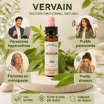 Fleurs de Bach Verveine bio en compte-goutte avec personnes hyperactives, passionnées et stressées