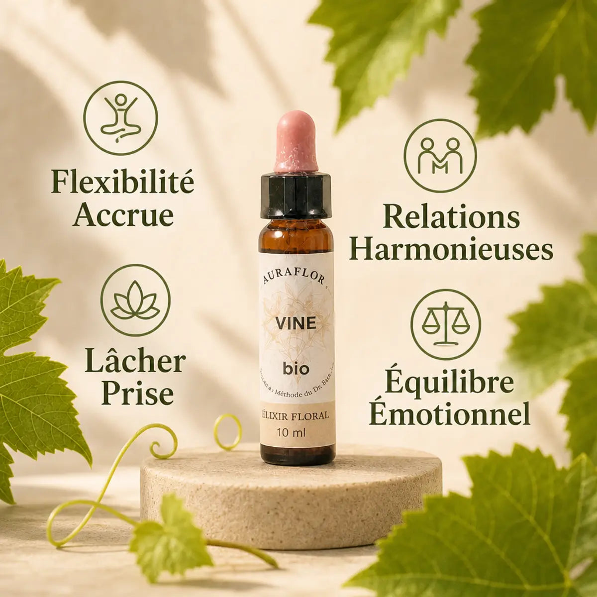 Fleur de Bach Vigne bio en compte-goutte avec bénéfices : flexibilité, harmonie relationnelle, lâcher-prise et équilibre émotionnel