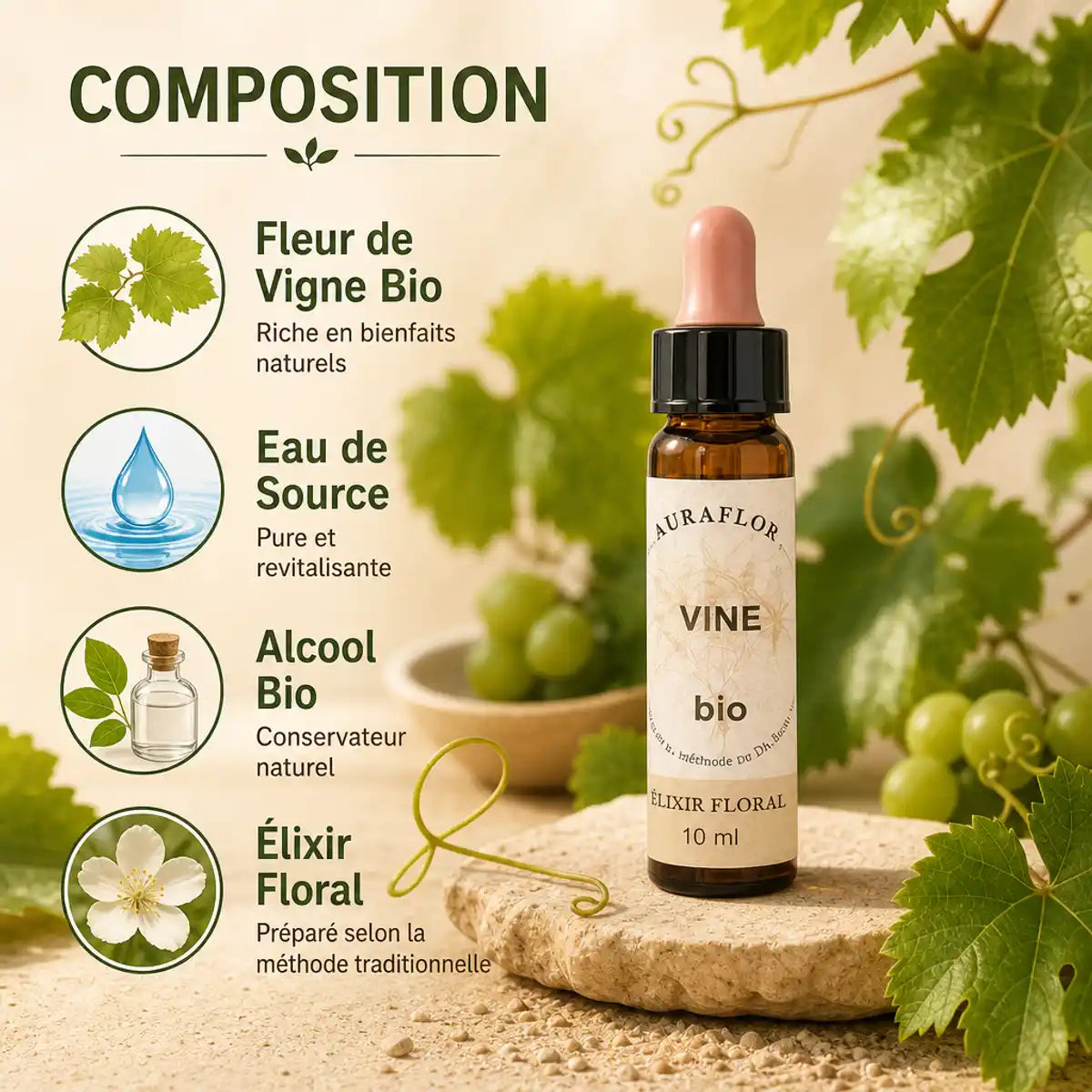 Fleur de Bach Bio Vigne en compte-goutte avec feuilles de vigne et composition botanique