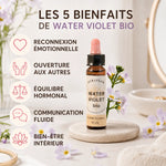 Fleur de Bach Violette d'eau bio en compte-goutte avec fleurs cosmos et bénéfices bien-être