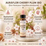 Fleur de Bach Cherry Plum bio avec bénéfices : apaisement émotionnel, contrôle mental et sérénité