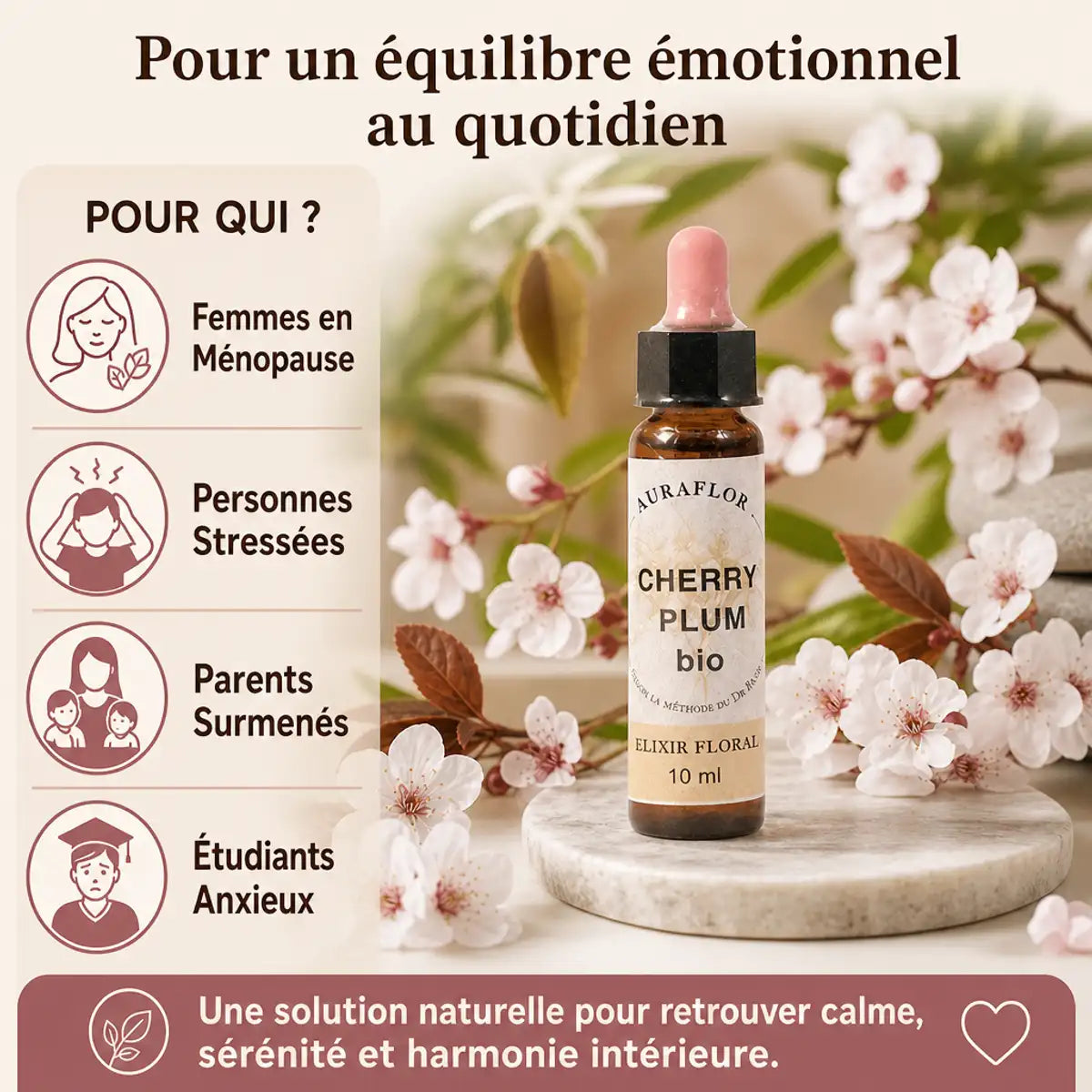 Fleurs de Bach Cherry Plum bio Auraflor avec emballage et fleurs de cerisier rose, cible public bien-être naturel