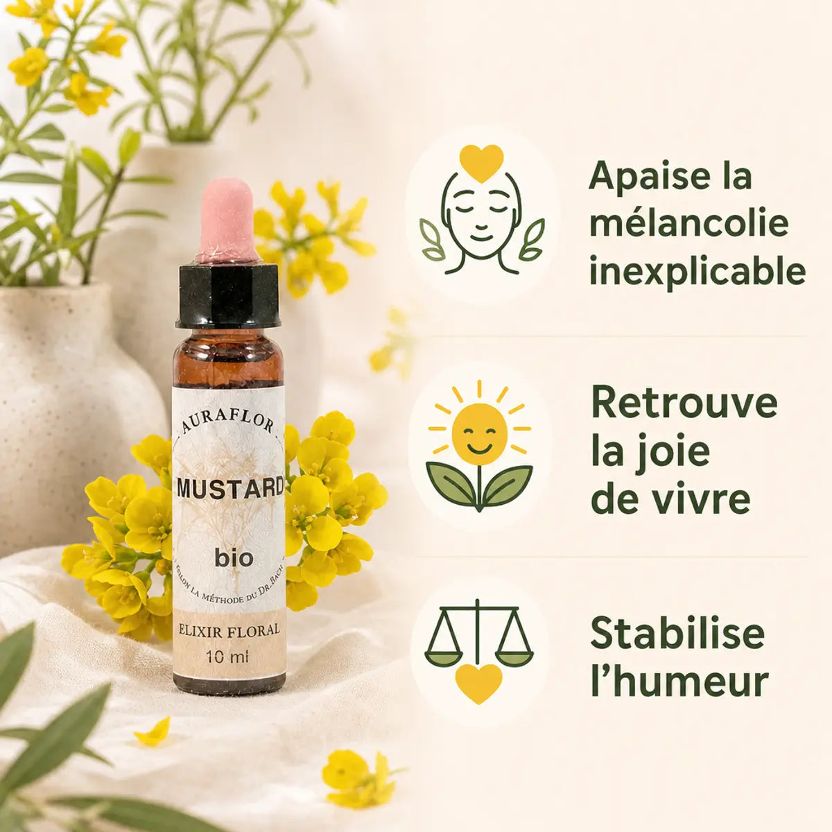 Fleurs de Bach Mustard bio en compte-gouttes avec bénéfices wellness et fleurs jaunes