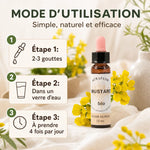 Fleur de Bach Mustard bio en compte-gouttes avec mode d'emploi et dosage