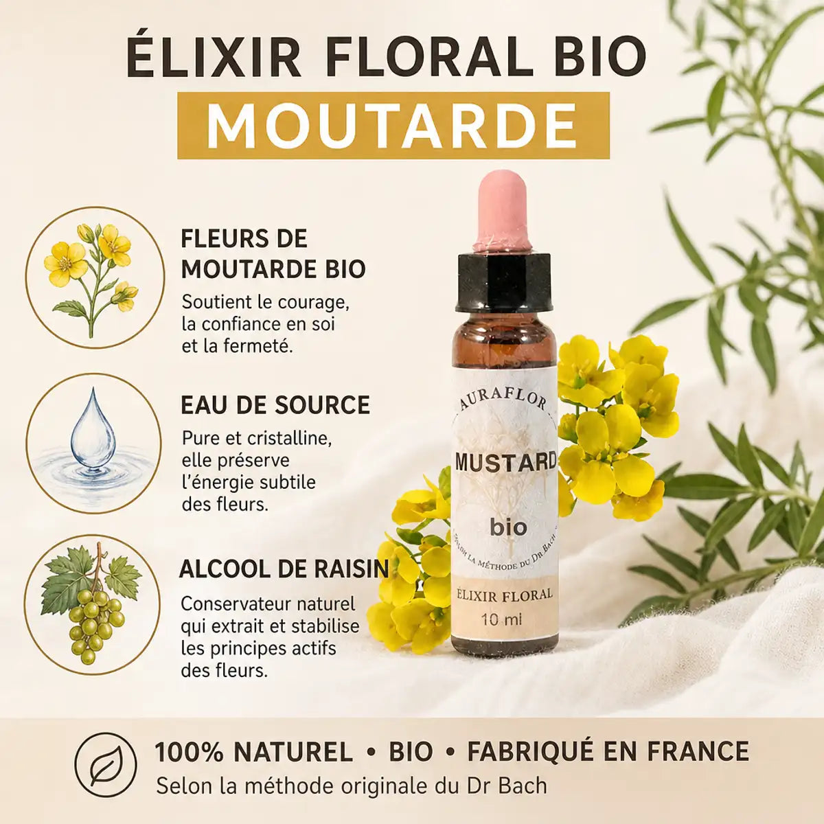 Fleurs de Bach Mustard bio en compte-gouttes avec fleurs jaunes et ingrédients naturels