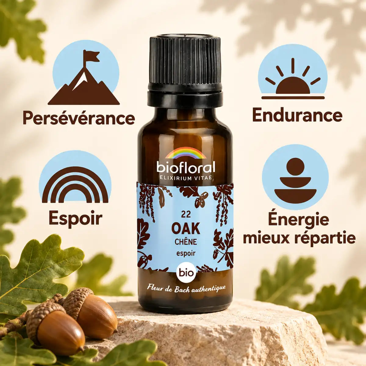 Flacon de fleurs de Bach Oak (Chêne) bio en granules Biofloral, avec icônes persévérance, endurance et espoir sur fond crème