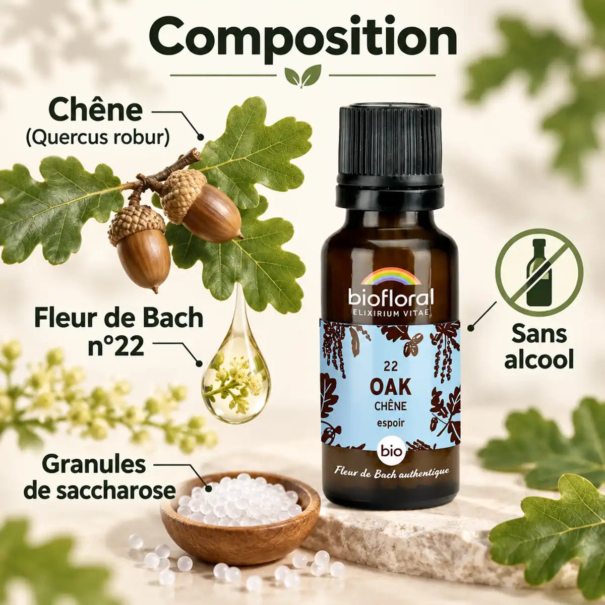Fleurs de Bach Chêne n°22 Biofloral en granules 19,5 g : flacon ambré, branche de chêne et granules de saccharose
