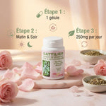 Gattilier 250mg gélules VITAL OSMOSE avec posologie et fleurs séchées en studio